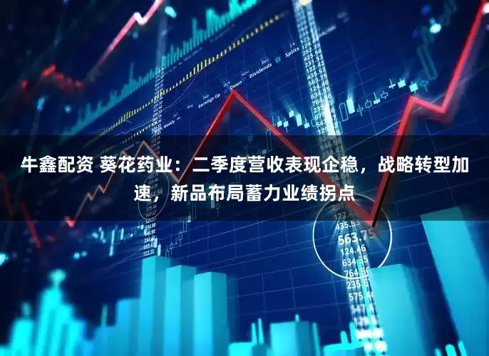 牛鑫配资 葵花药业：二季度营收表现企稳，战略转型加速，新品布局蓄力业绩拐点