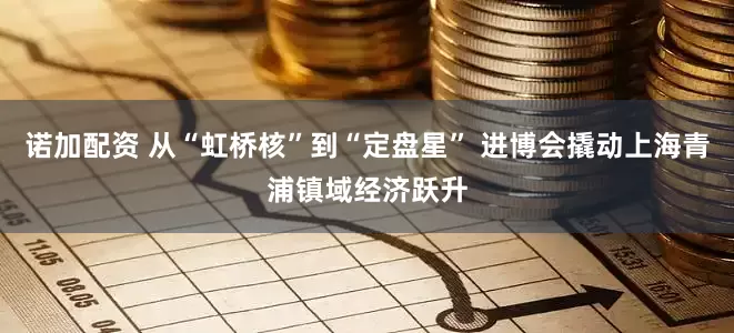 诺加配资 从“虹桥核”到“定盘星” 进博会撬动上海青浦镇域经济跃升