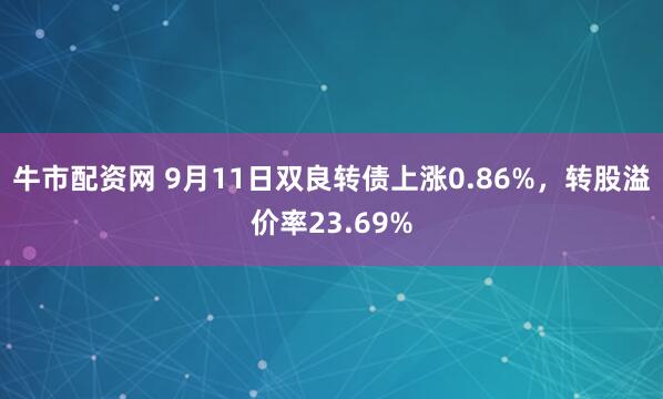 牛市配资网 9月11日双良转债上涨0.86%，转股溢价率23.69%
