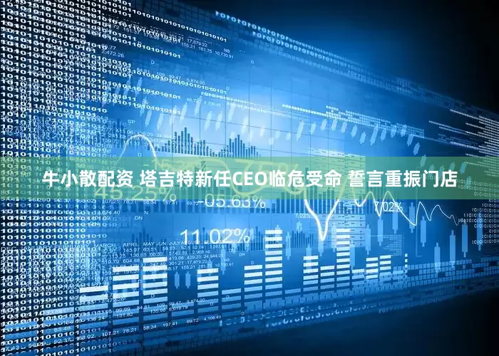 牛小散配资 塔吉特新任CEO临危受命 誓言重振门店