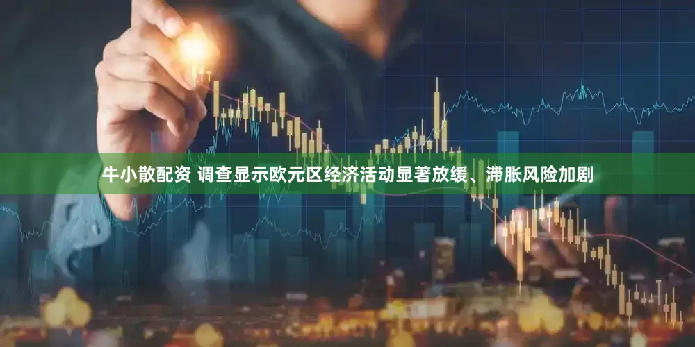 牛小散配资 调查显示欧元区经济活动显著放缓、滞胀风险加剧